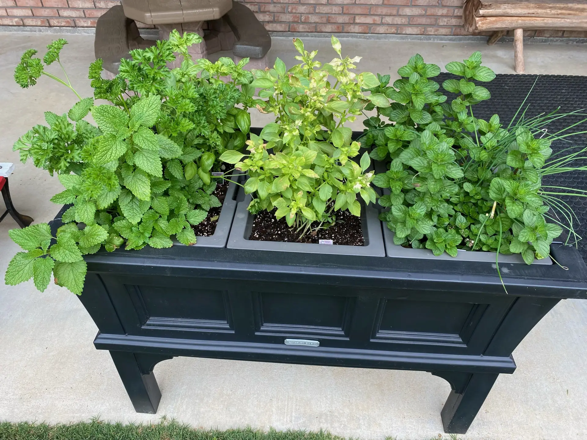 Tips for Starting a Garden in an Early Childhood Setting - Farm to ECE